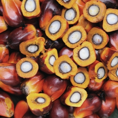 Organic Palm Kernel Oil  